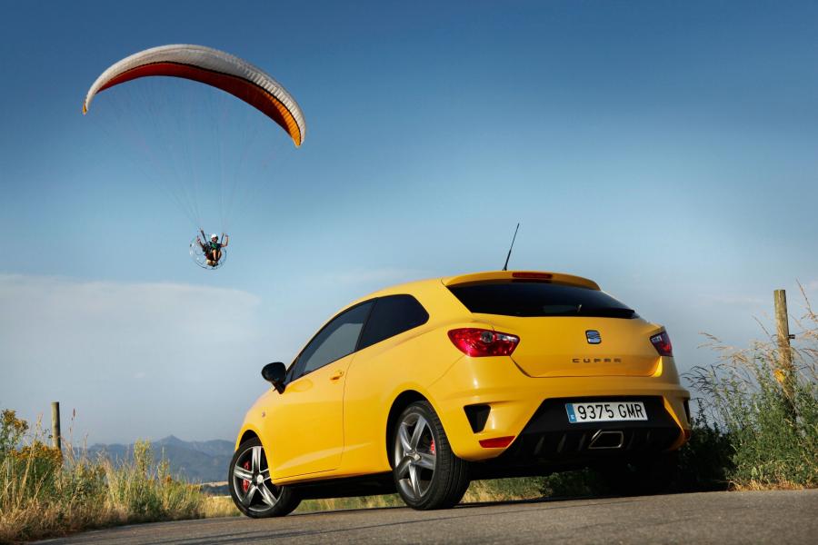  Seat Ibiza Cupra 2009 года  (фото 38 из 84)